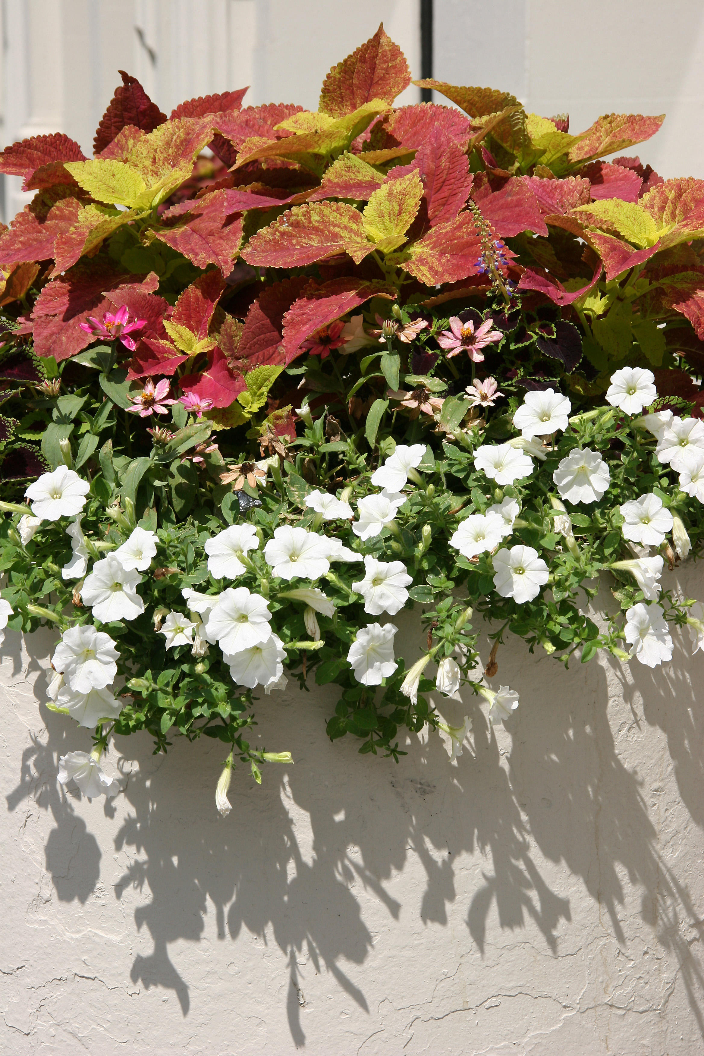 Sidewalk Garden Planter