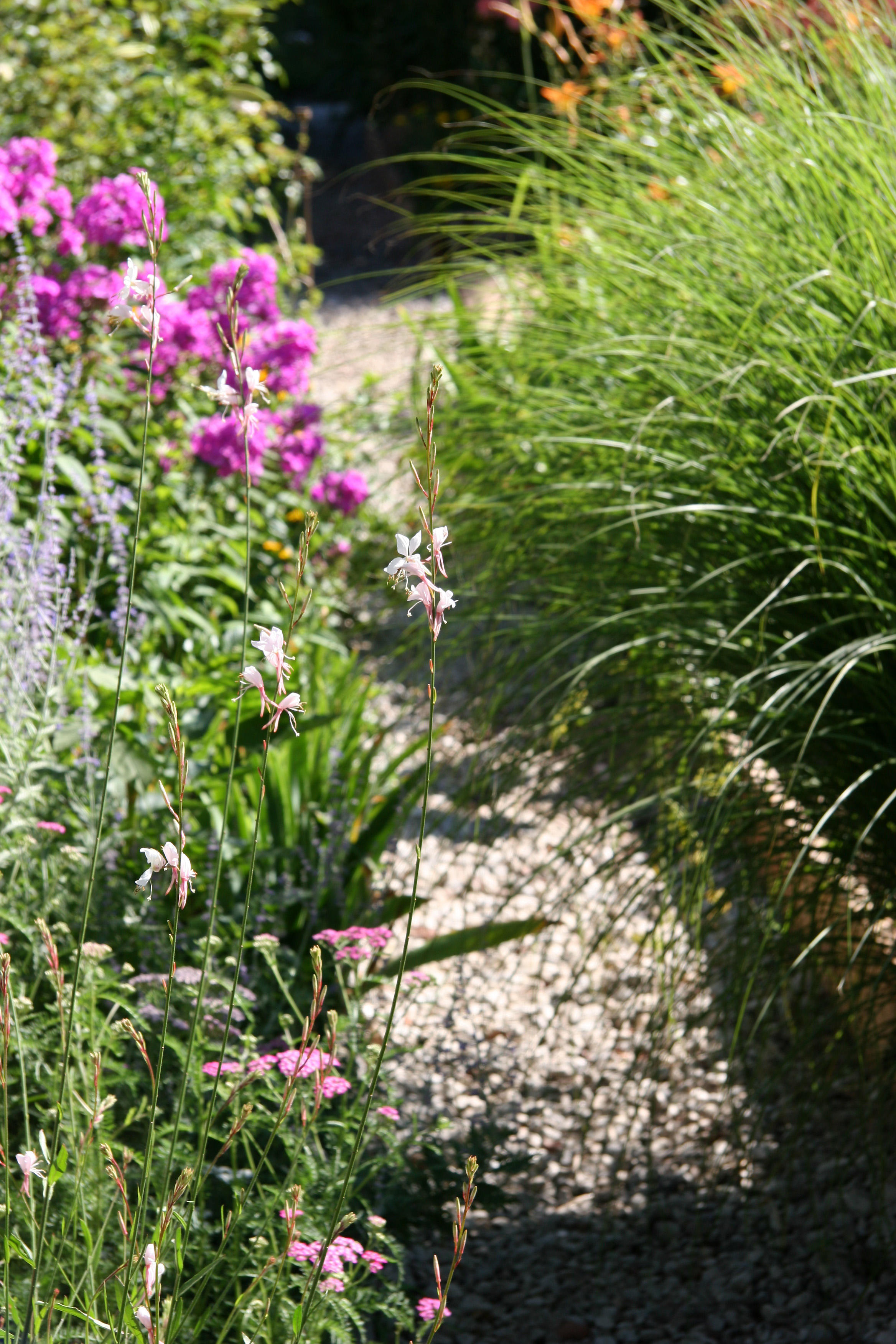 Garden Path