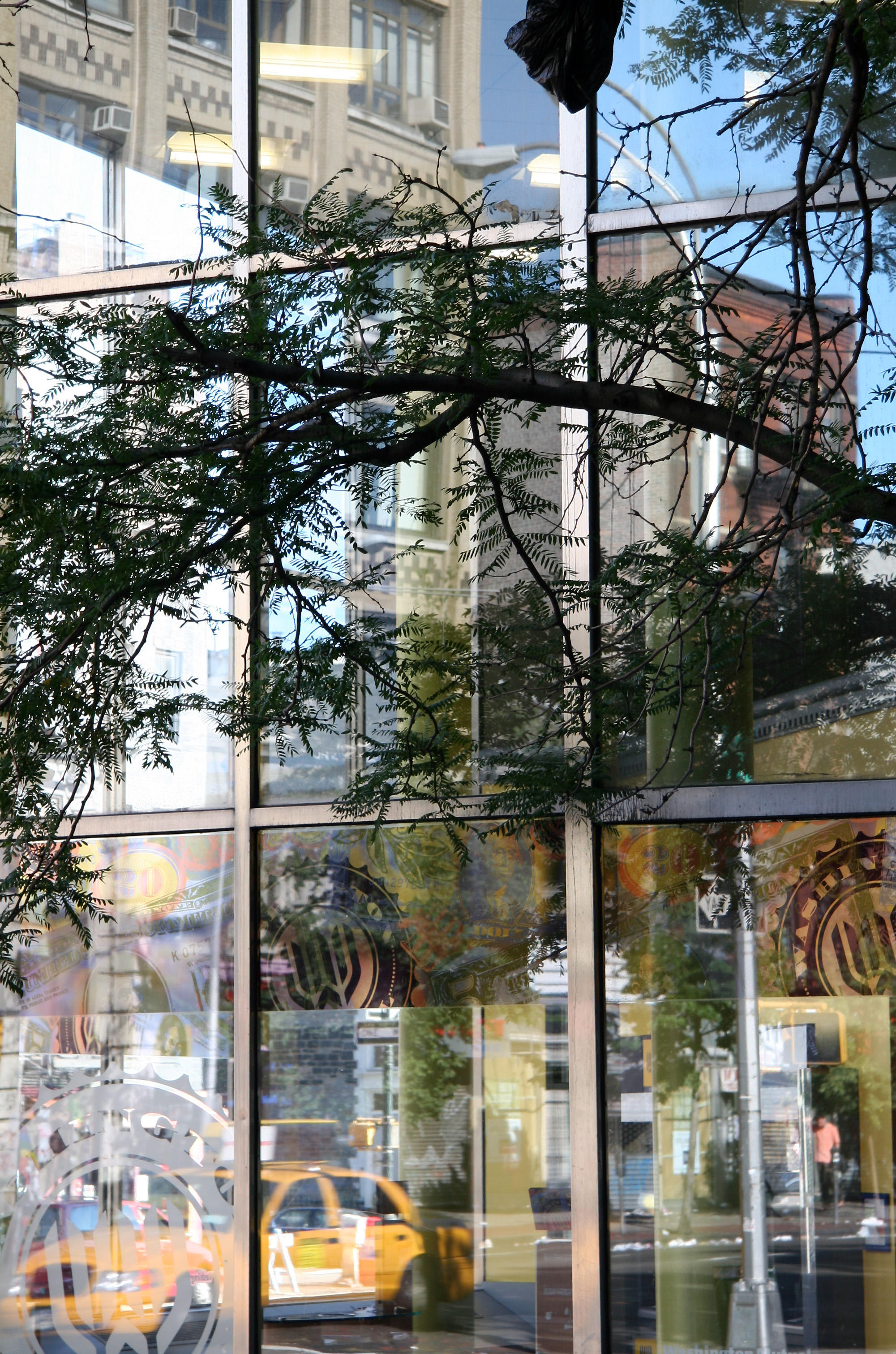 Bank Window Reflections