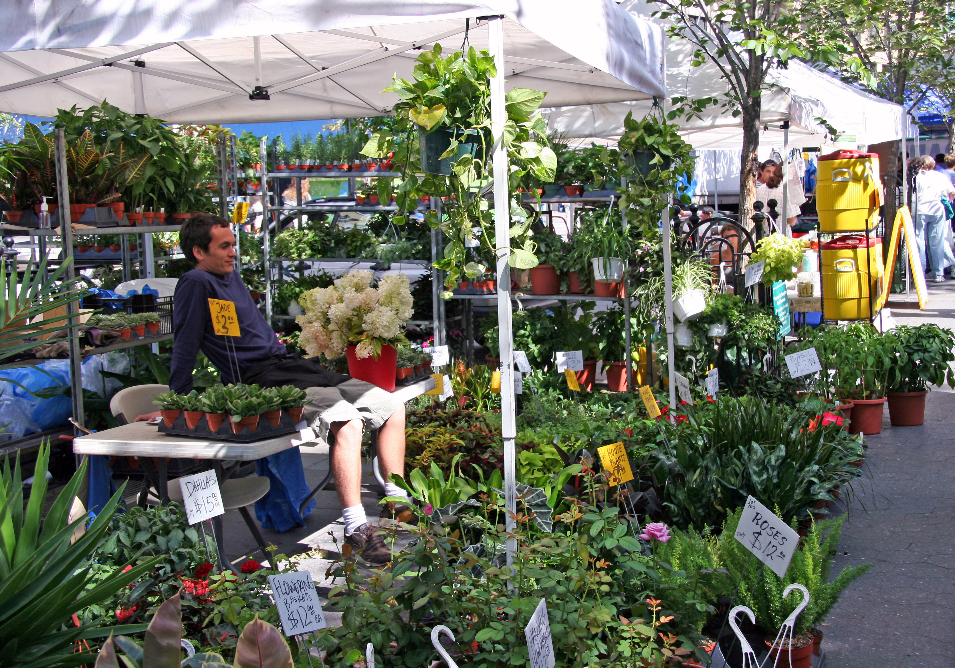 Farmers Market - Garden Plants