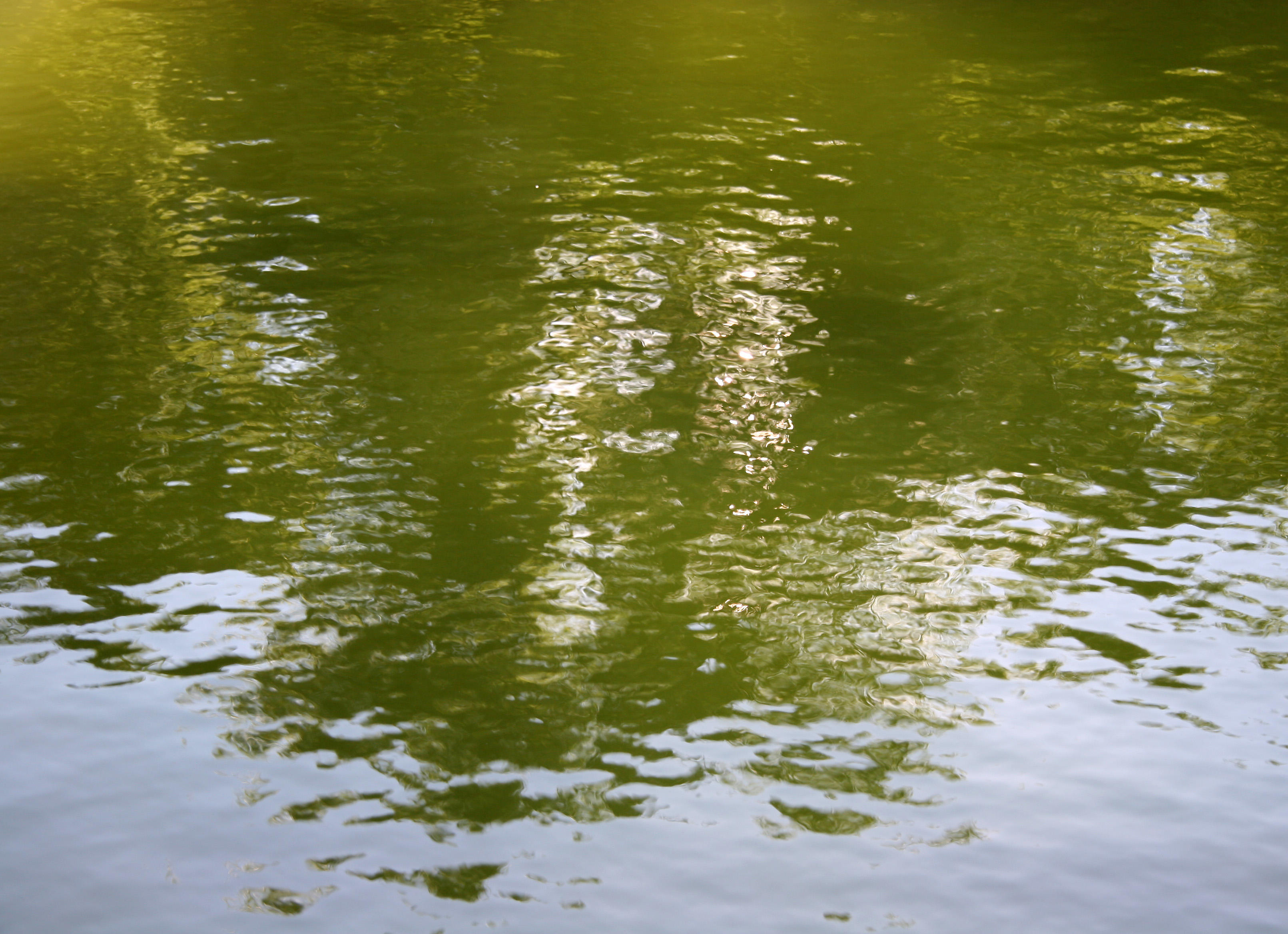 Fountain Pool Reflections