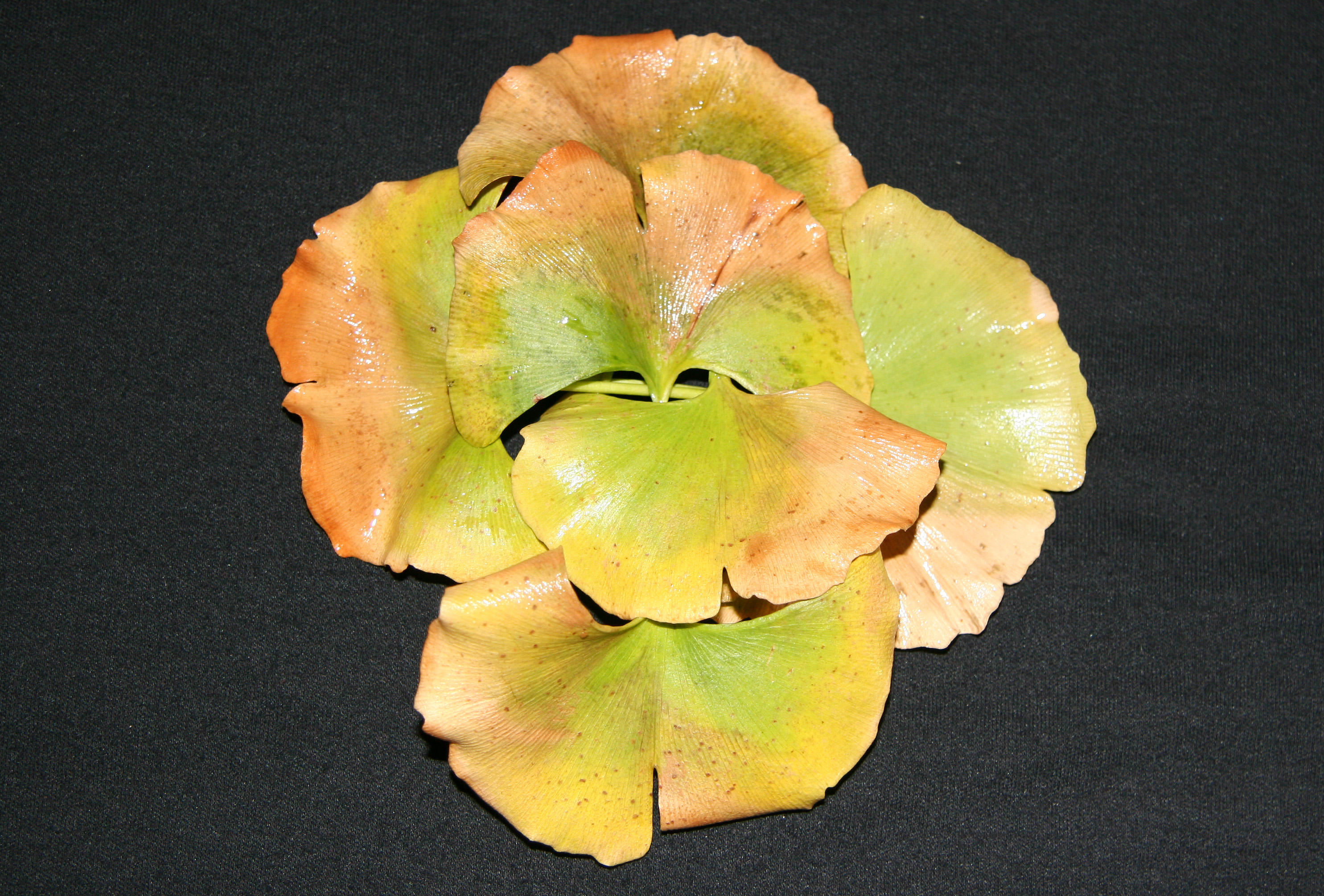 Ginkgo Foliage Arrangement