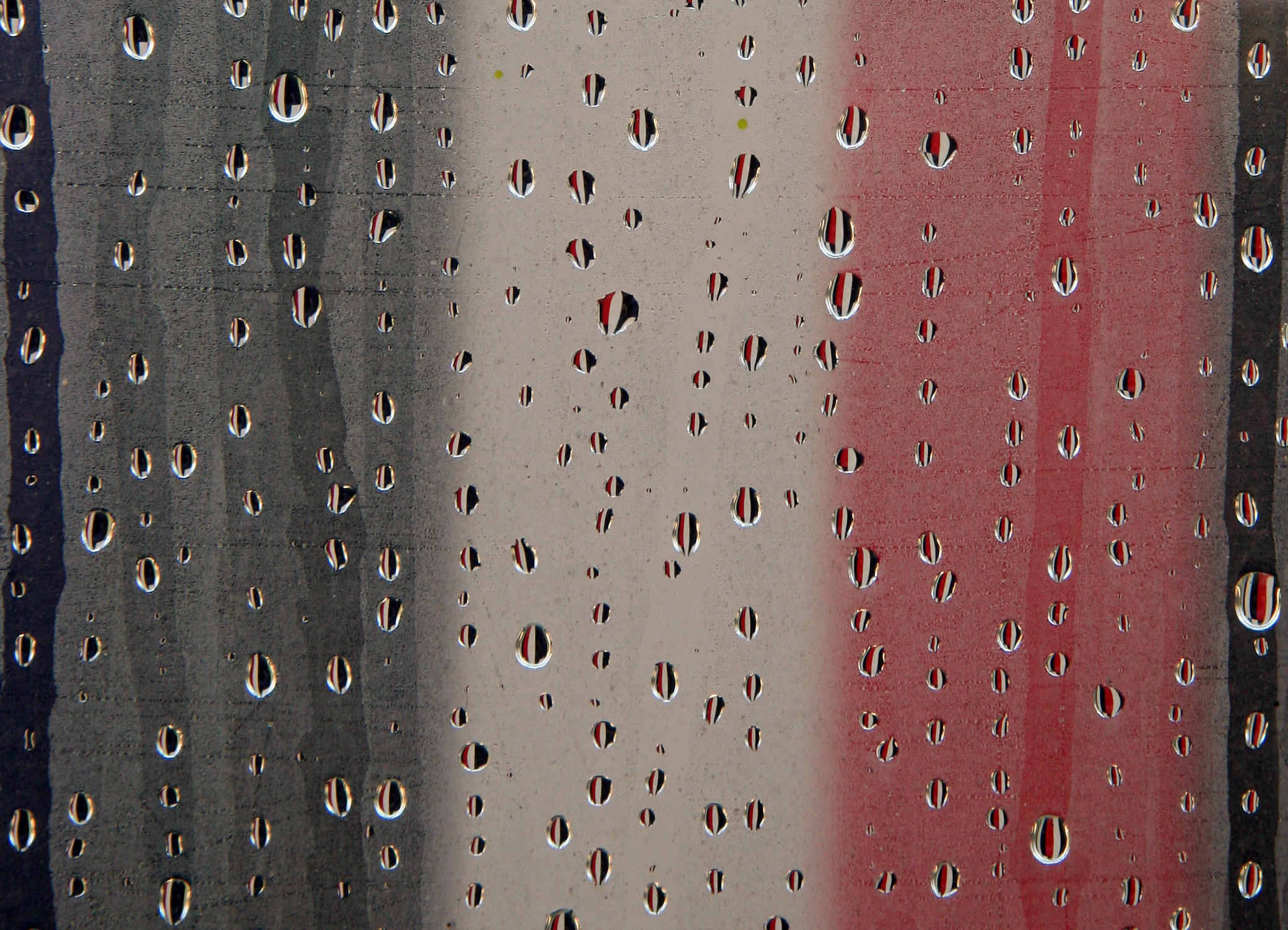 NYU Grey Gallery - Window Condensation