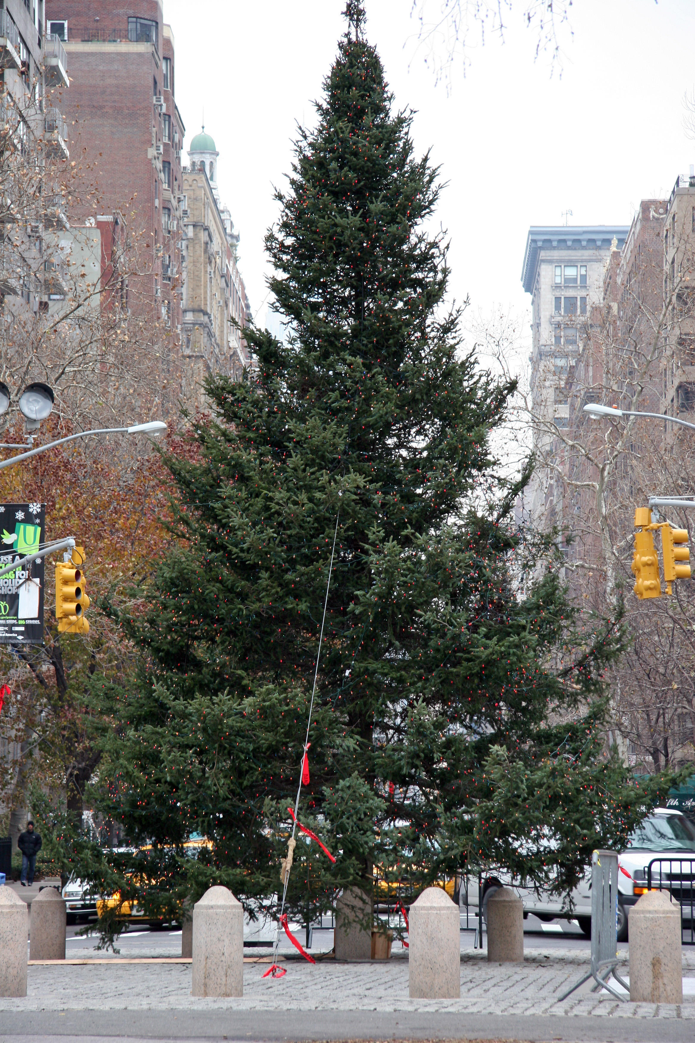 Christmas Tree at the Arch