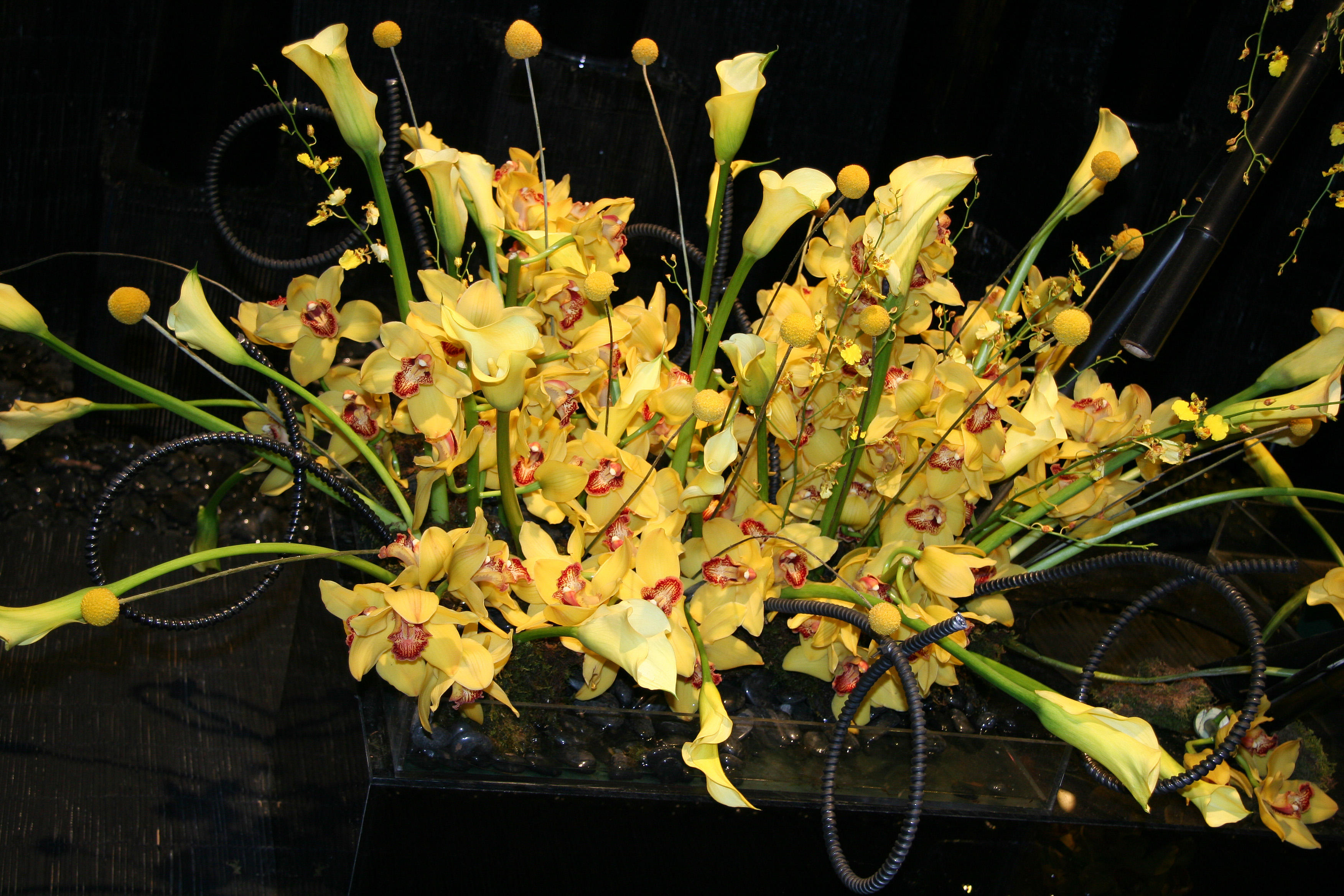 Flower Show - Arrangement