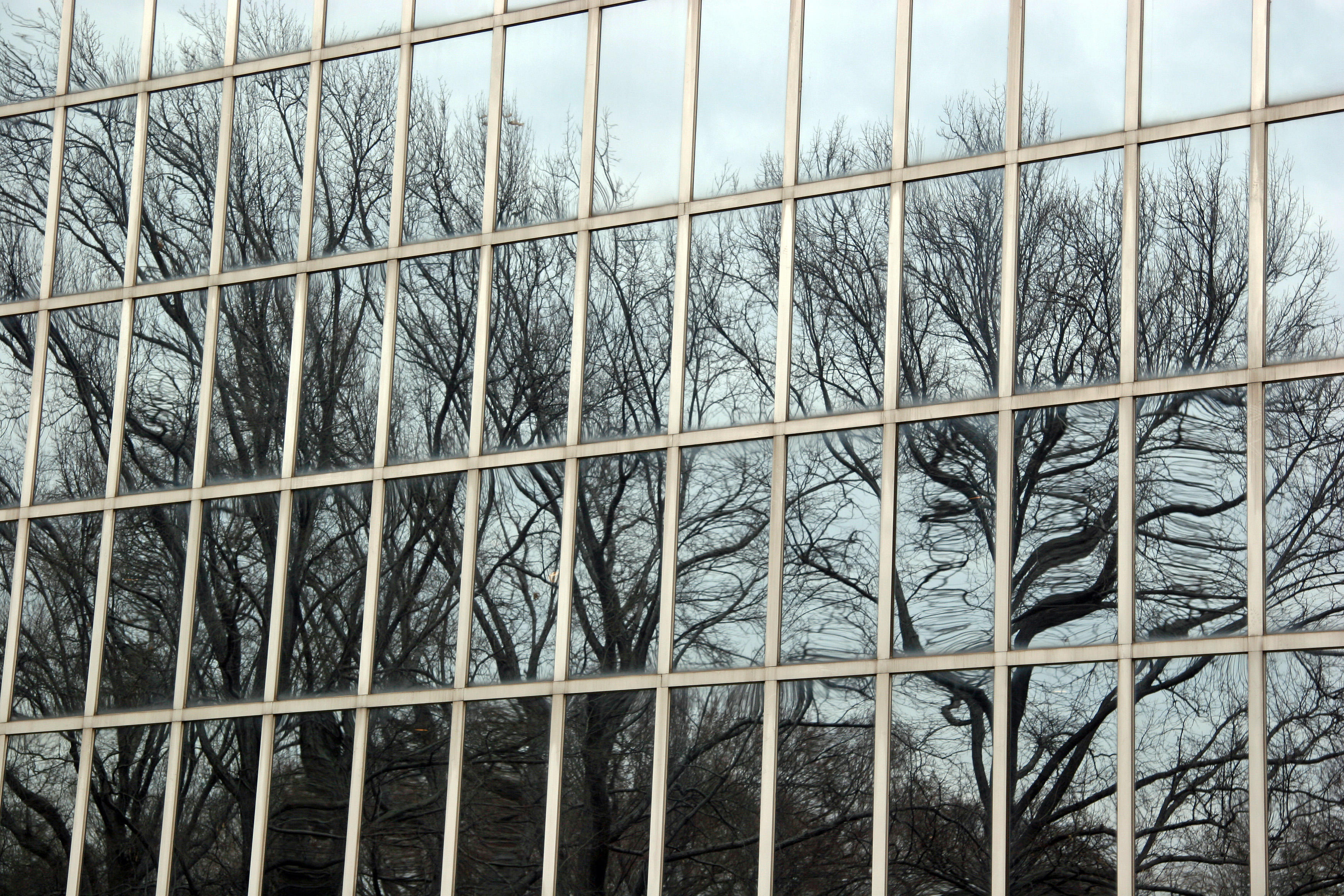 Reflections - Metropolitan Museum Windows