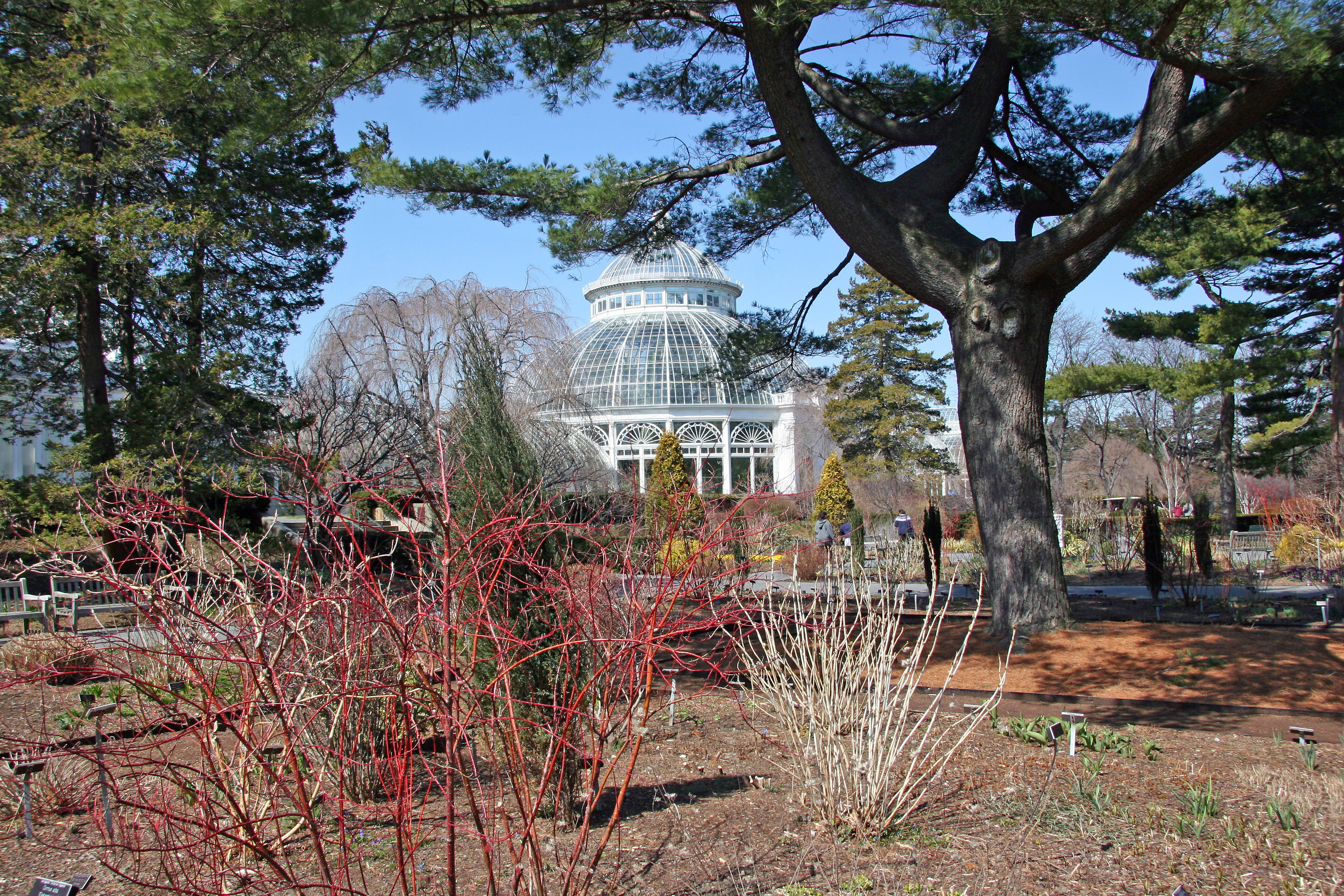 Perennial Garden View