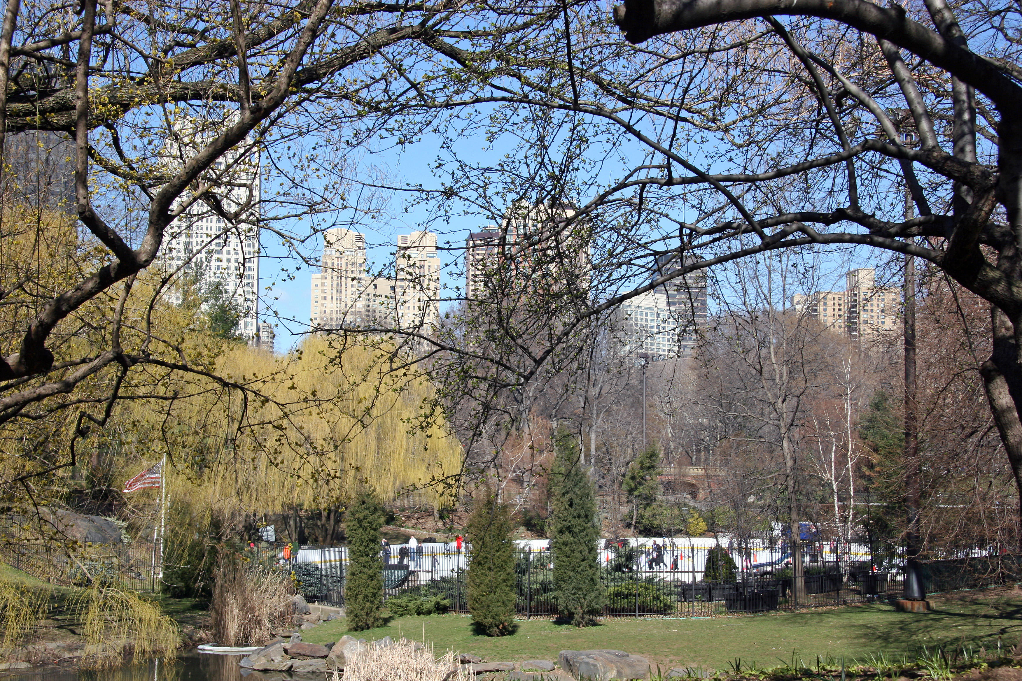 Wollman Ice Skating Rink View from the Duck Pond