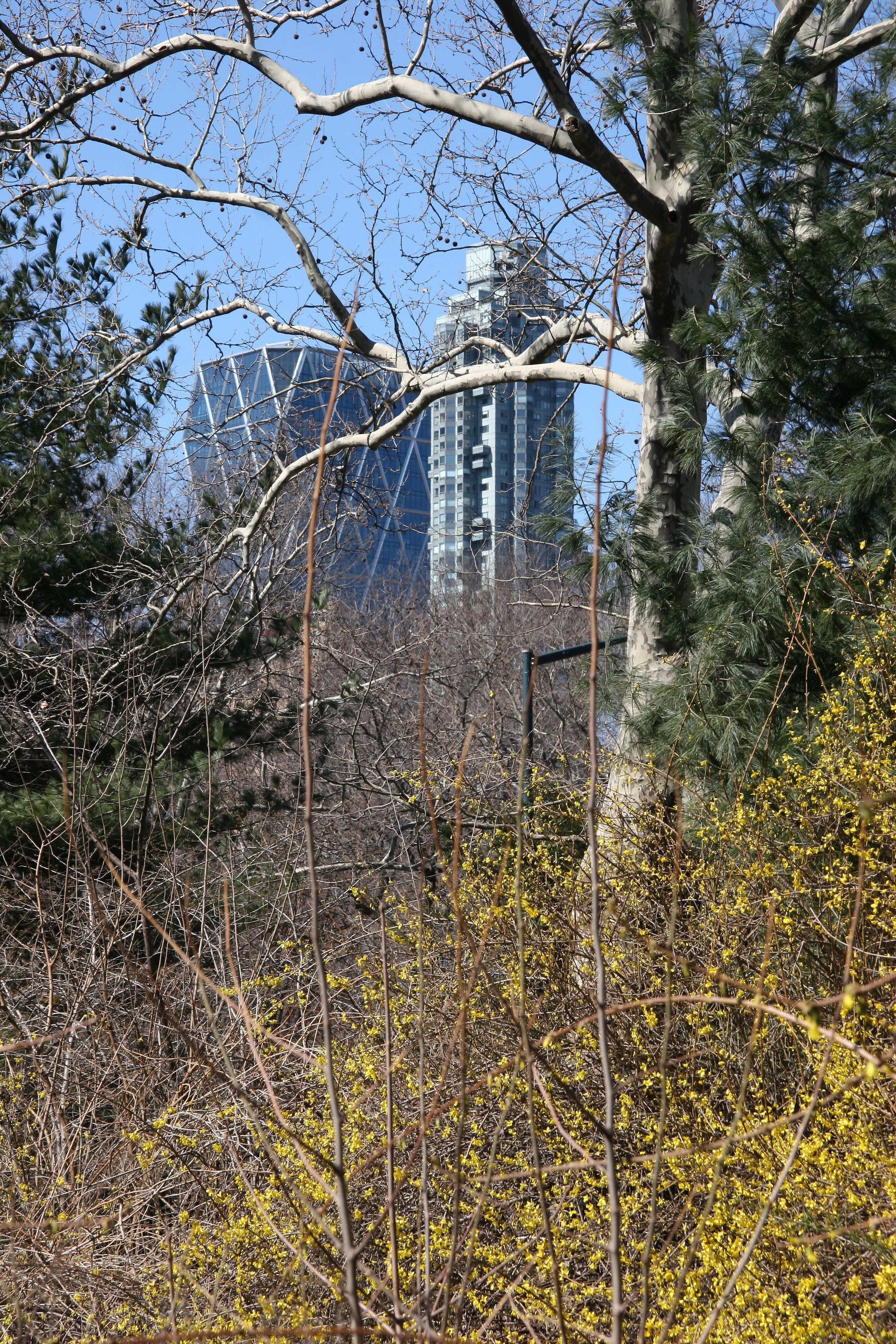 Park & CPW Skyline View near 65th Street Traverse Road