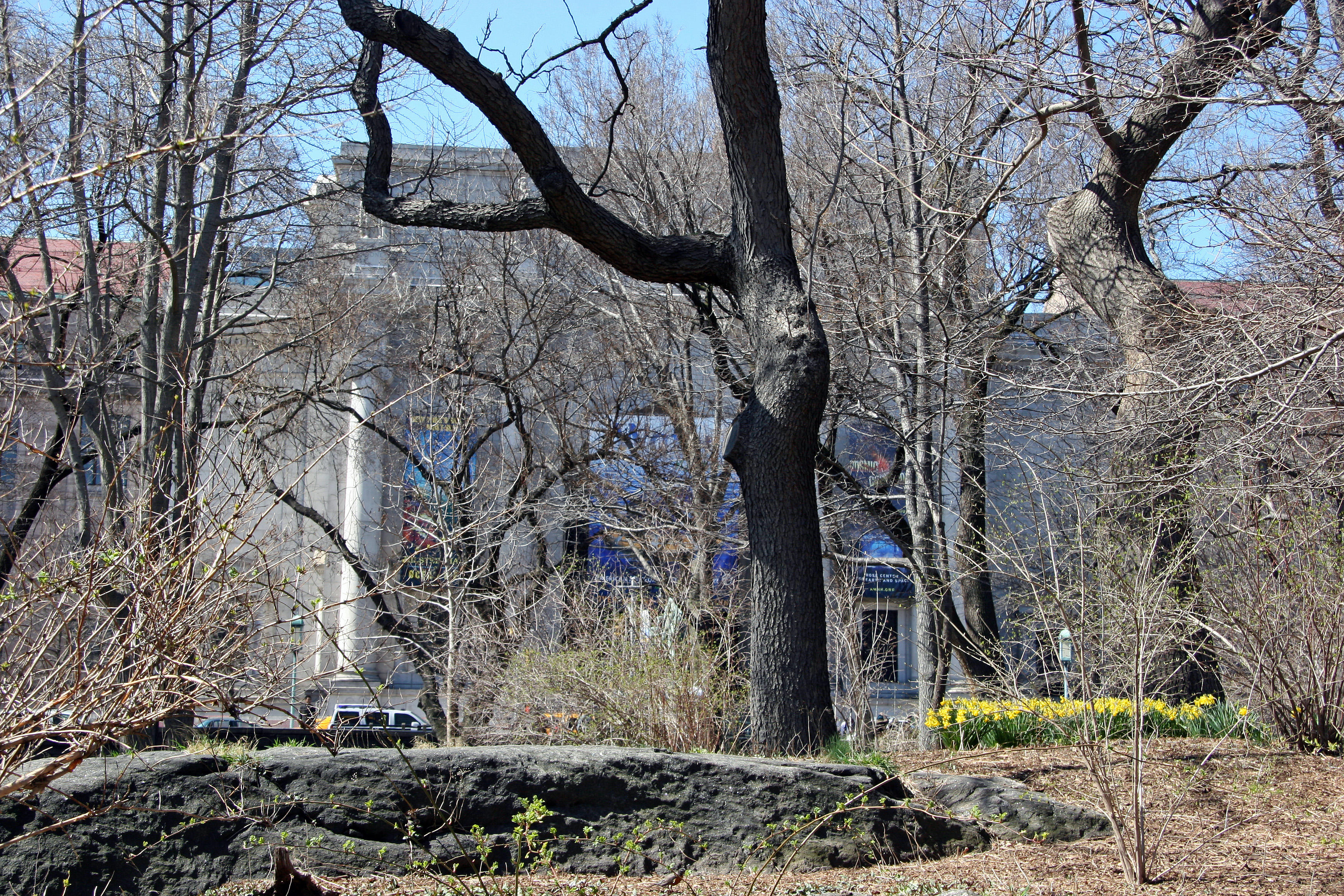 Museum of Natural History from the Park