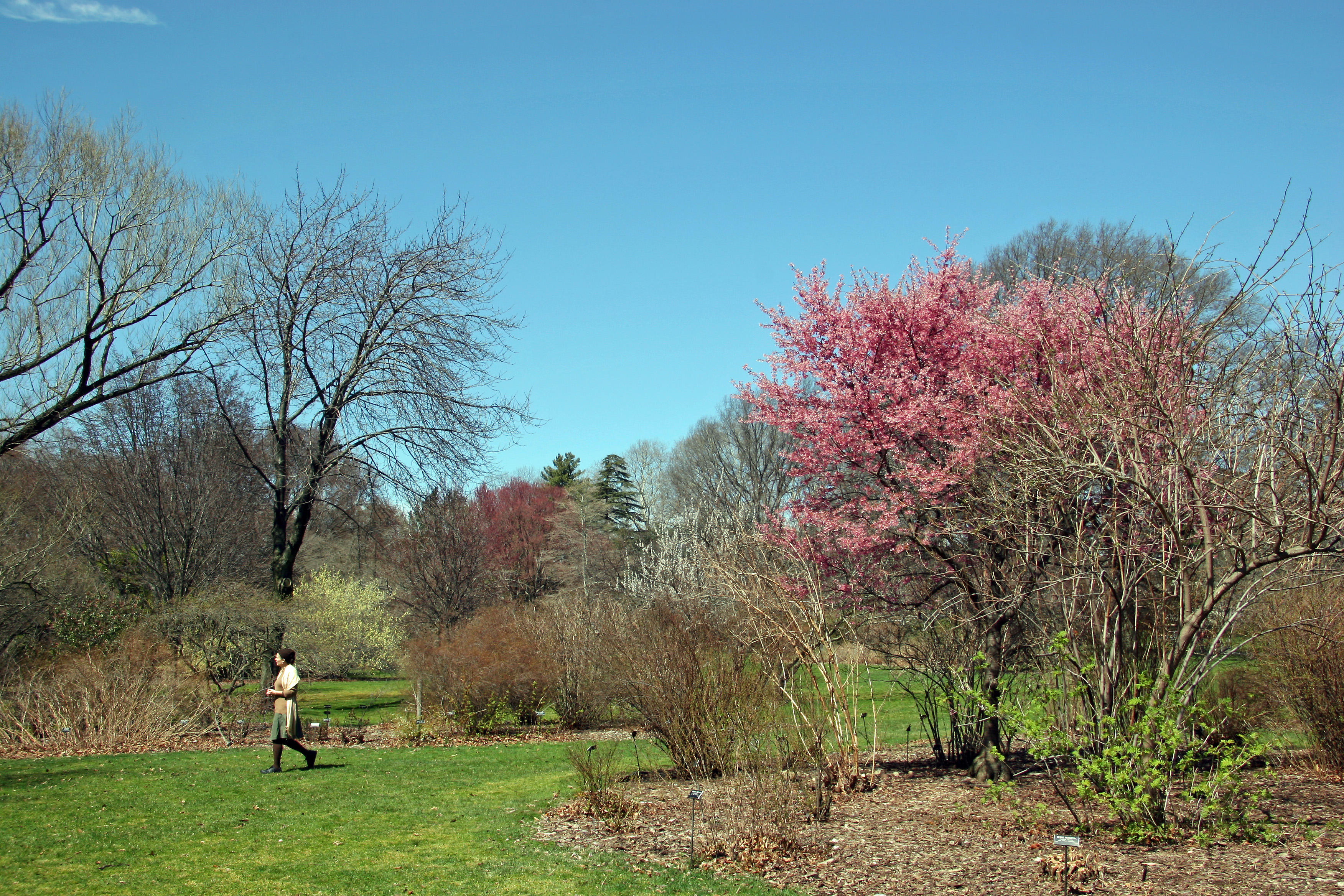 Grounds - Spring View