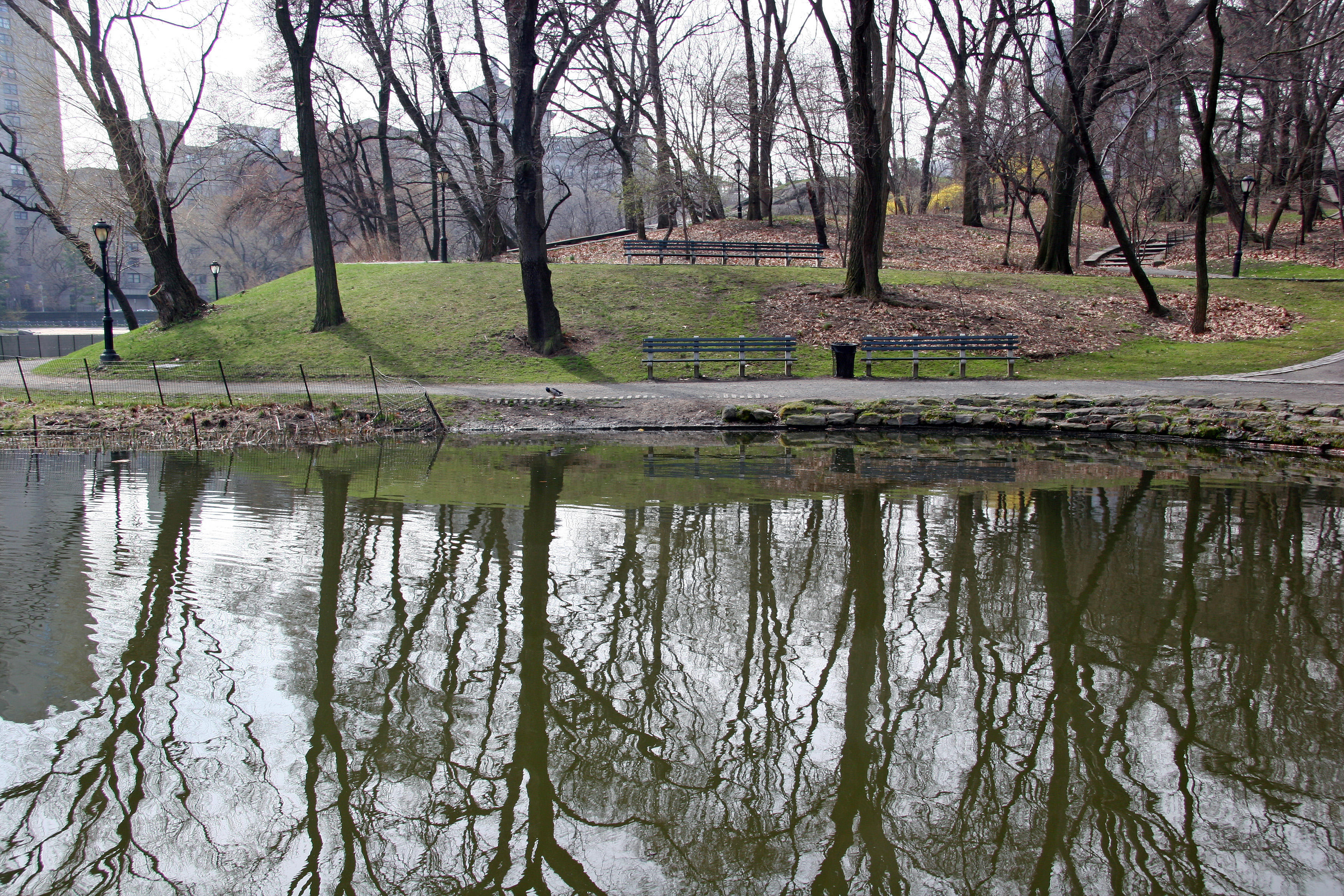 Harlem Meer Shore