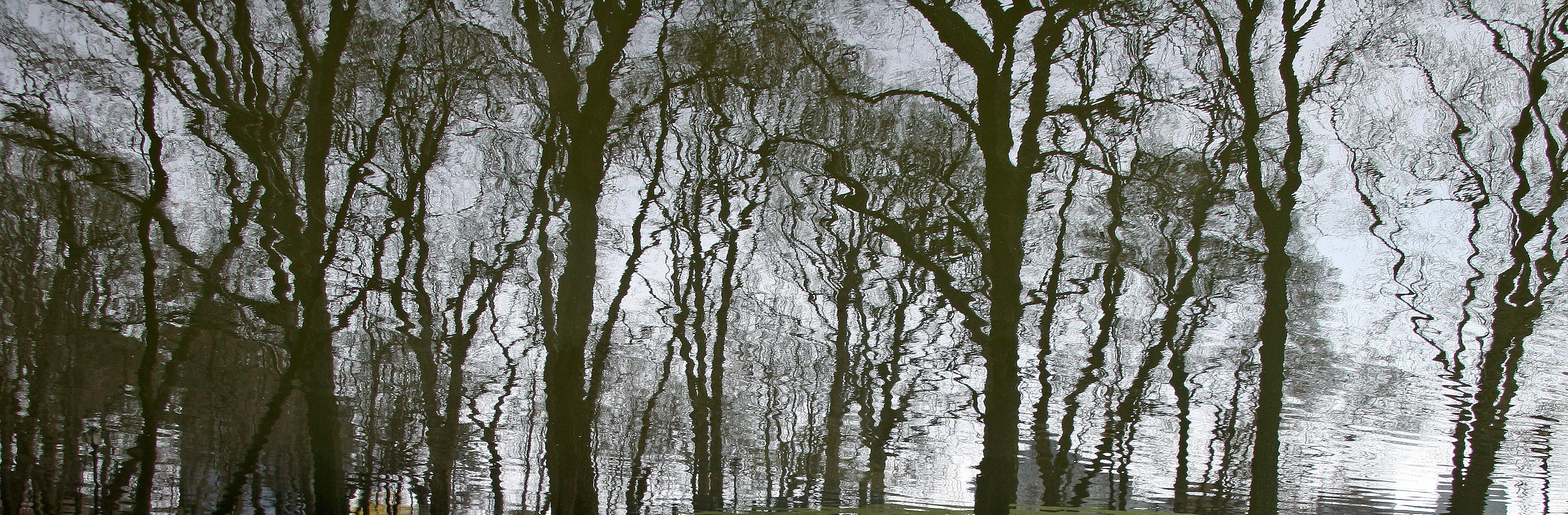 Harlem Meer Shore Reflections