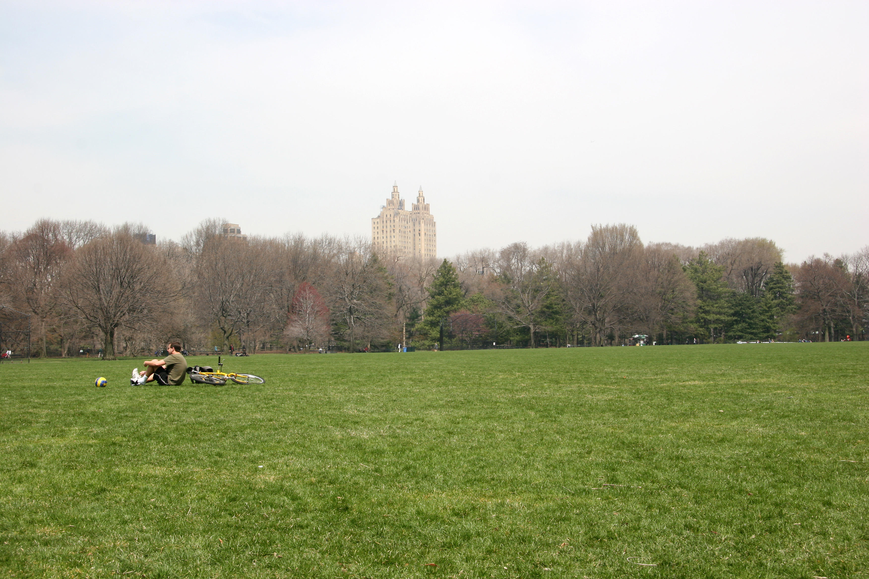 The Great Lawn
