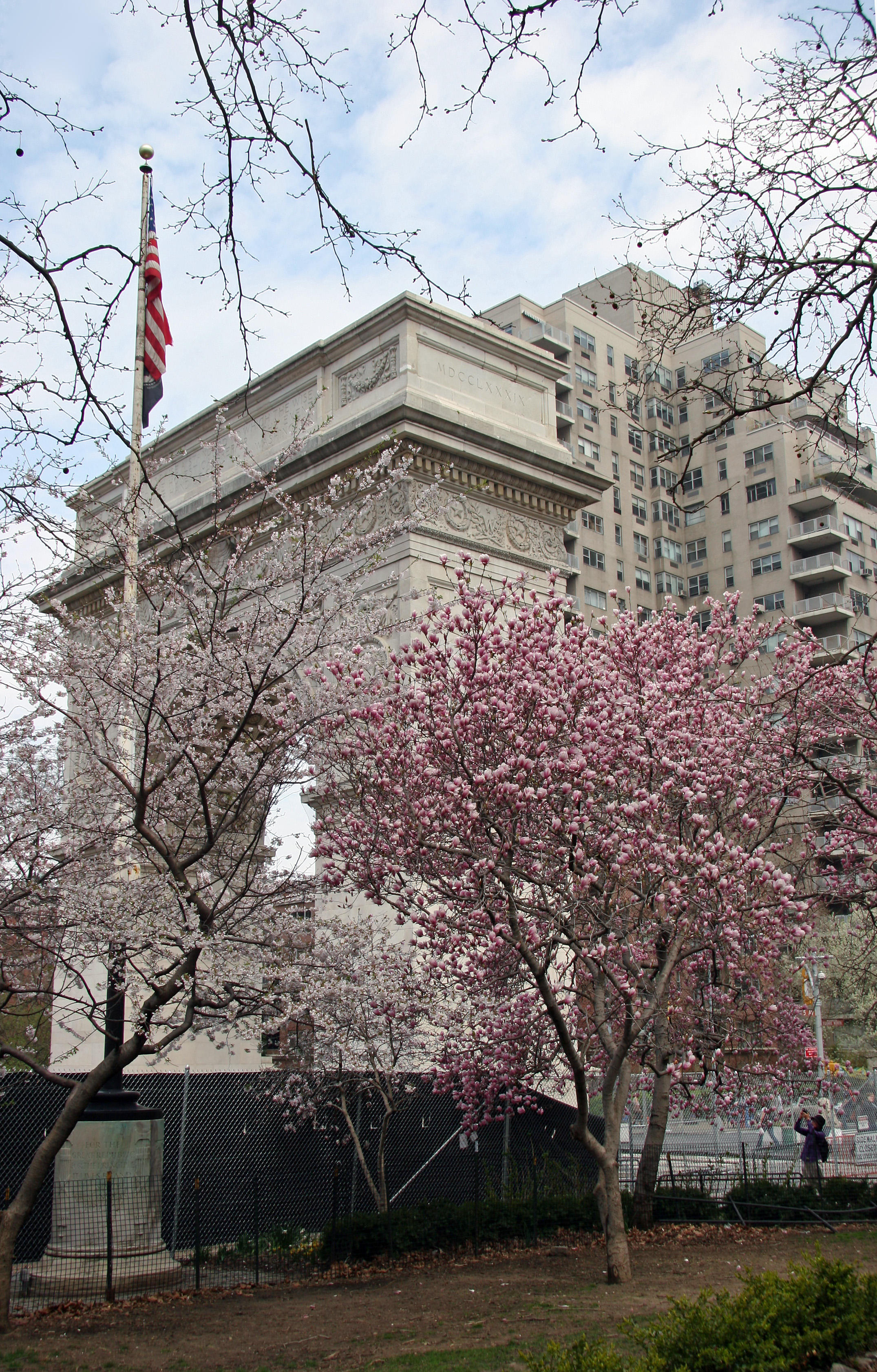 Spring Blossoms at the Arch