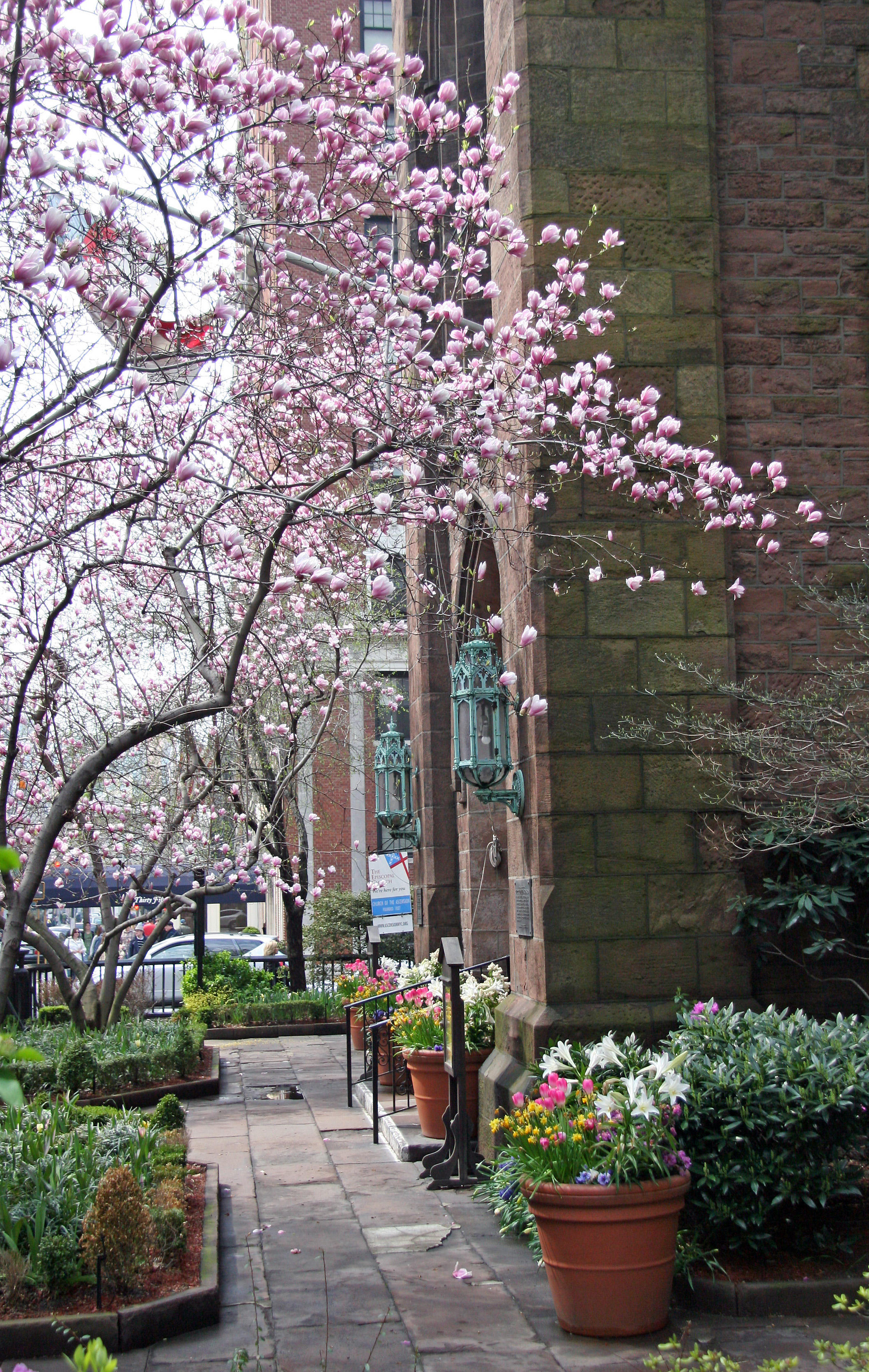 Spring Garden - Ascension Church