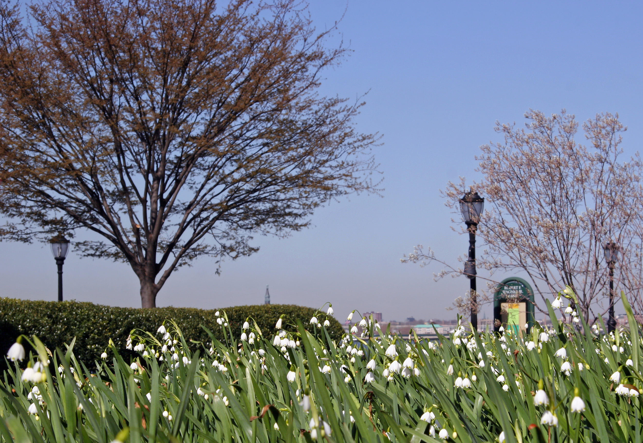 Snowflakes - Jewish Holocaust Museum Garden