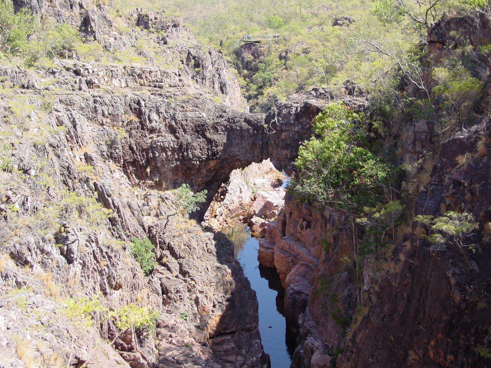 Somewhere in the Outback