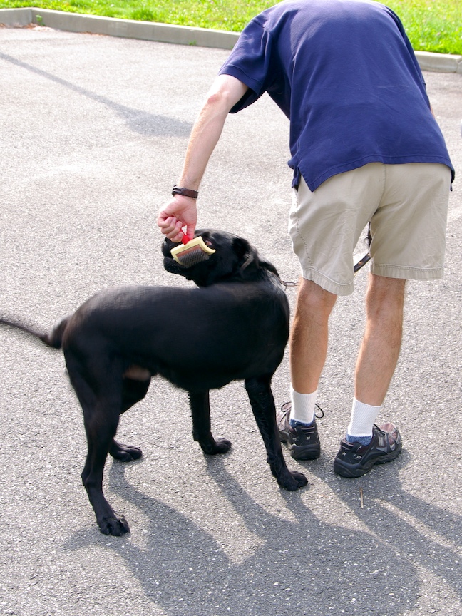Charlie 6043  492.jpg