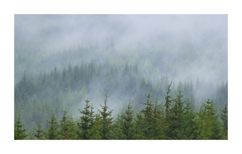 near Bridge of Orchy