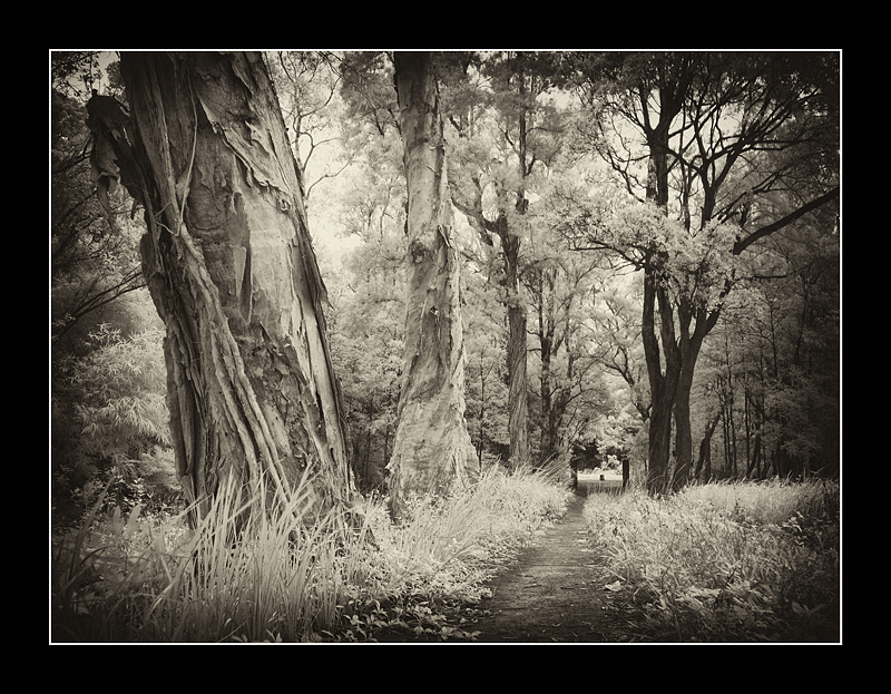 Tai Tam Country Park