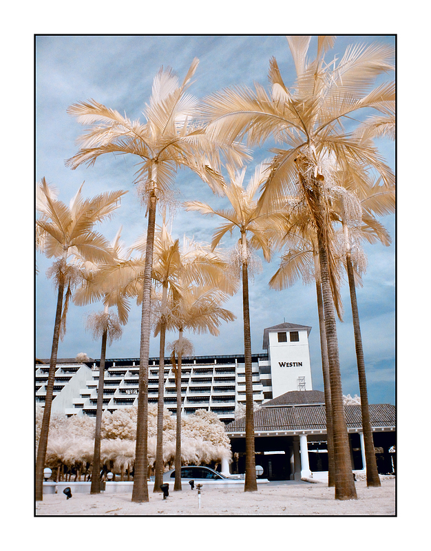 The Westin Resort