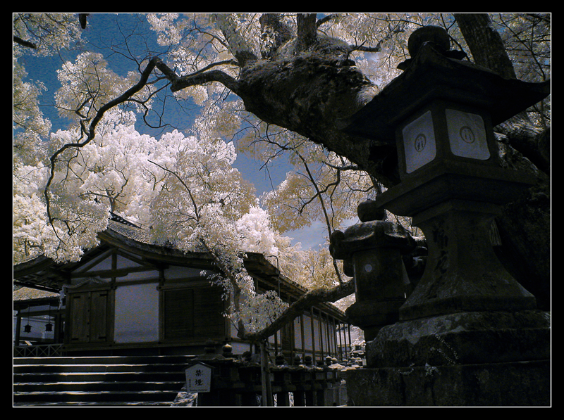 Kasugadaisha,Nara
