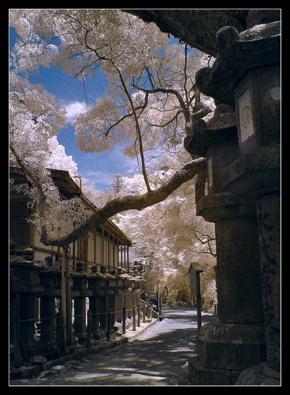 Kasugadaisha,Nara