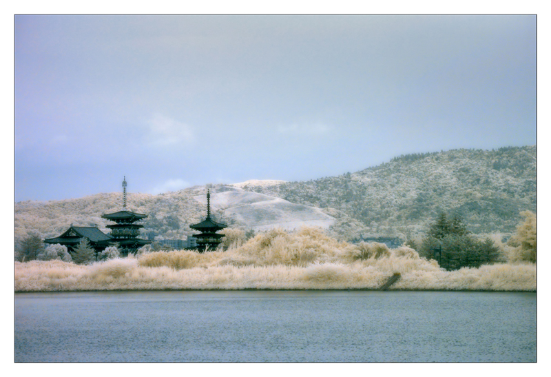 Yakushiji,Nara