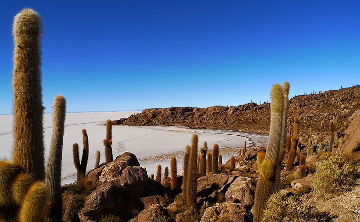 Salar de Uyuni, Bolivia