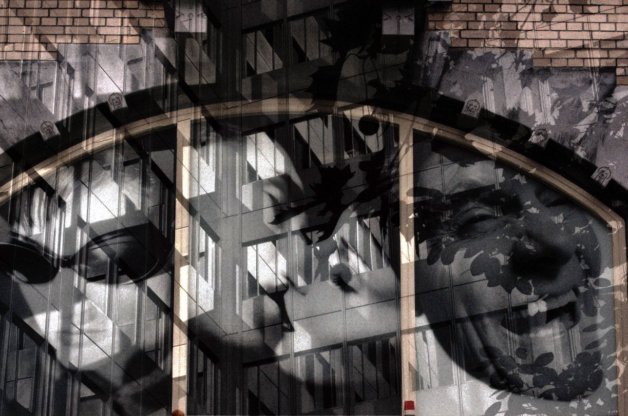 despair, love and happiness
