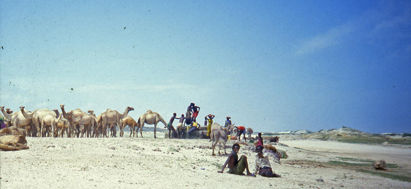 Northern Somalia