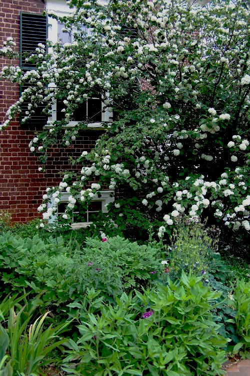 Gardens at Monticello