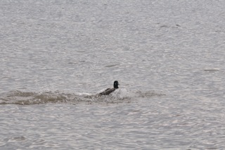 o6/26/926626/1/119943341.HWbTD3f1.DSC_0145.jpg
