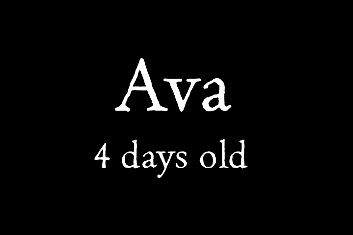 Ava2-1.jpg