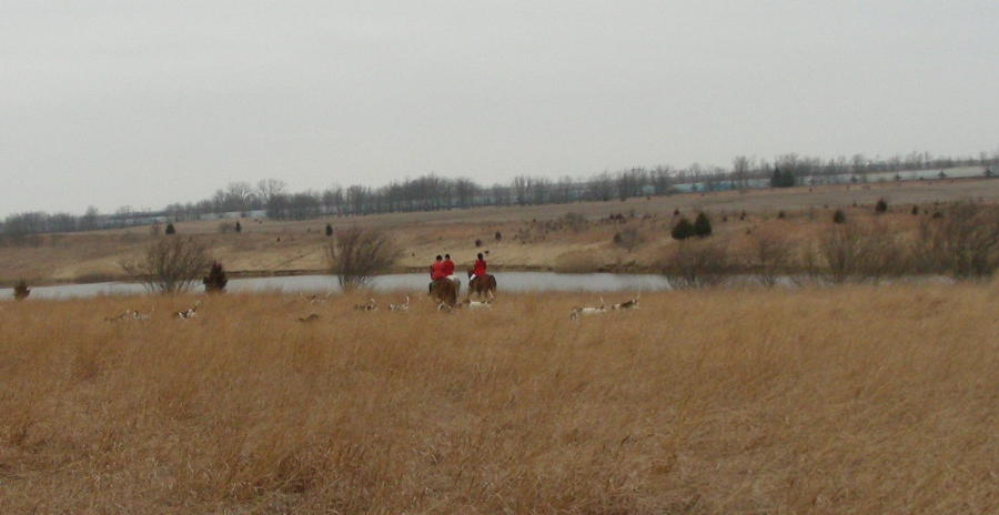 DSCN0487.JPG
