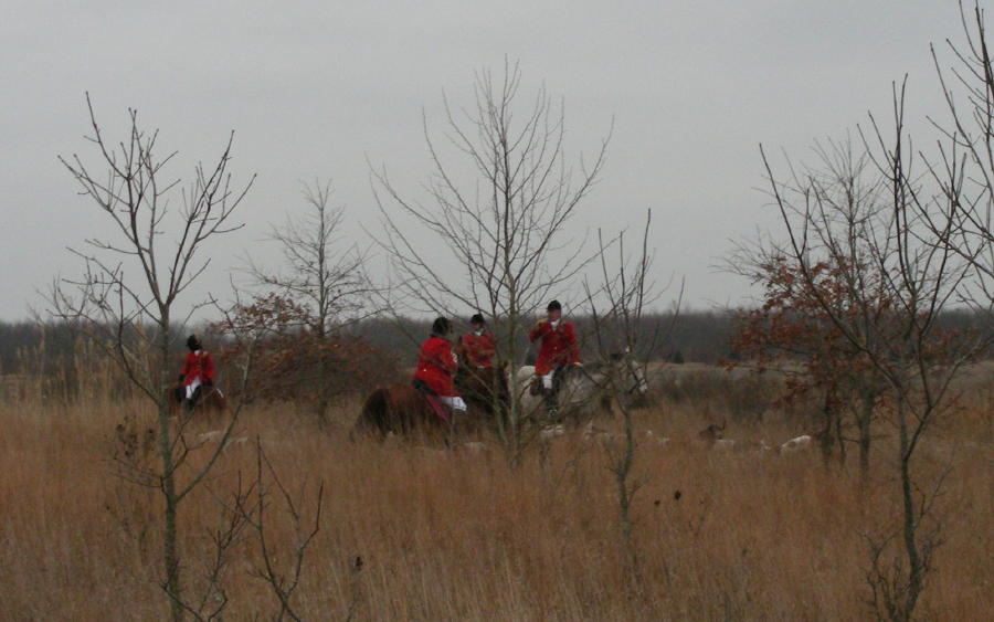 DSCN0496.JPG