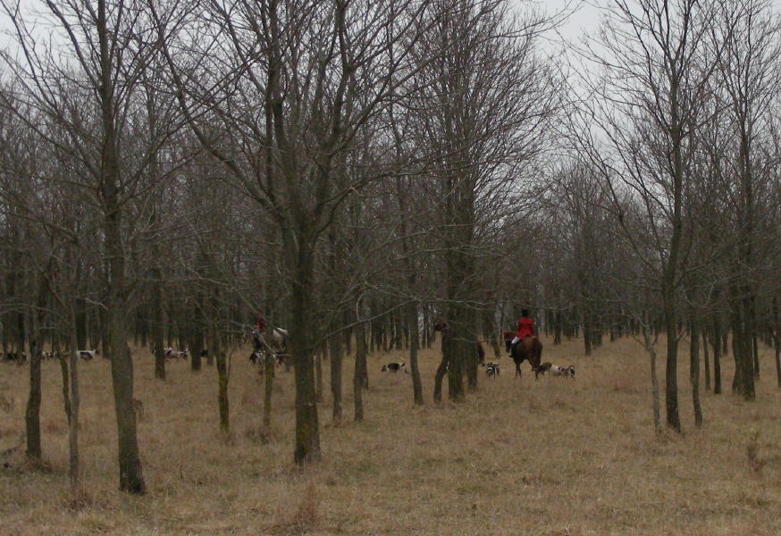 DSCN0528.JPG