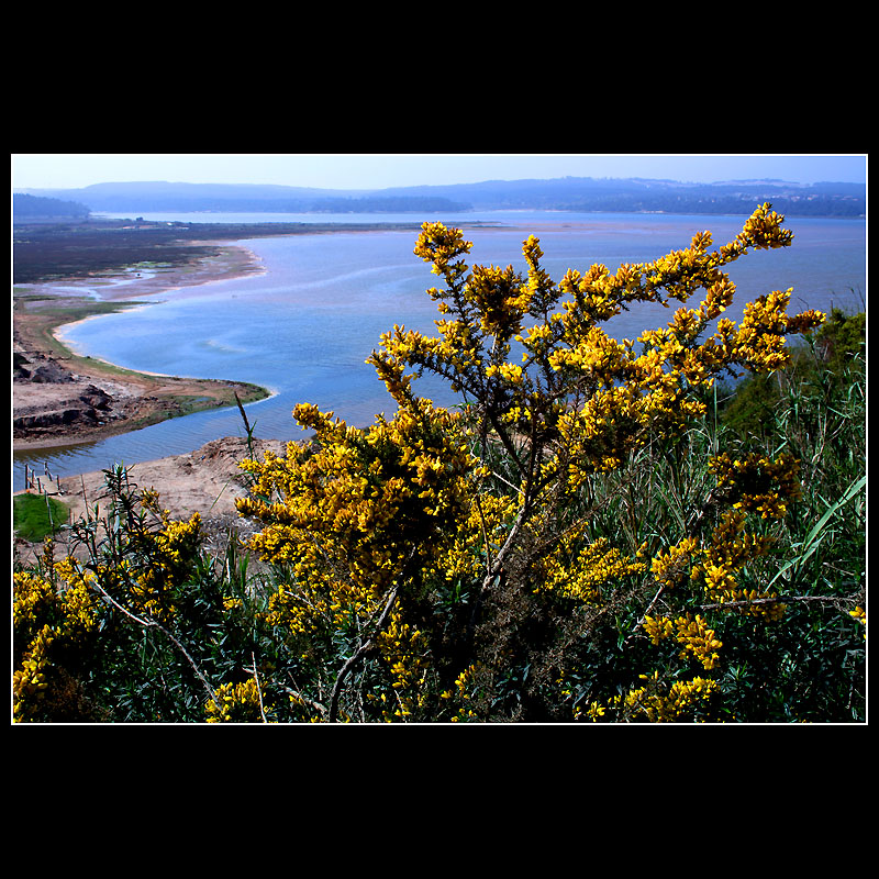 Obidos Lagoon - Portugal
