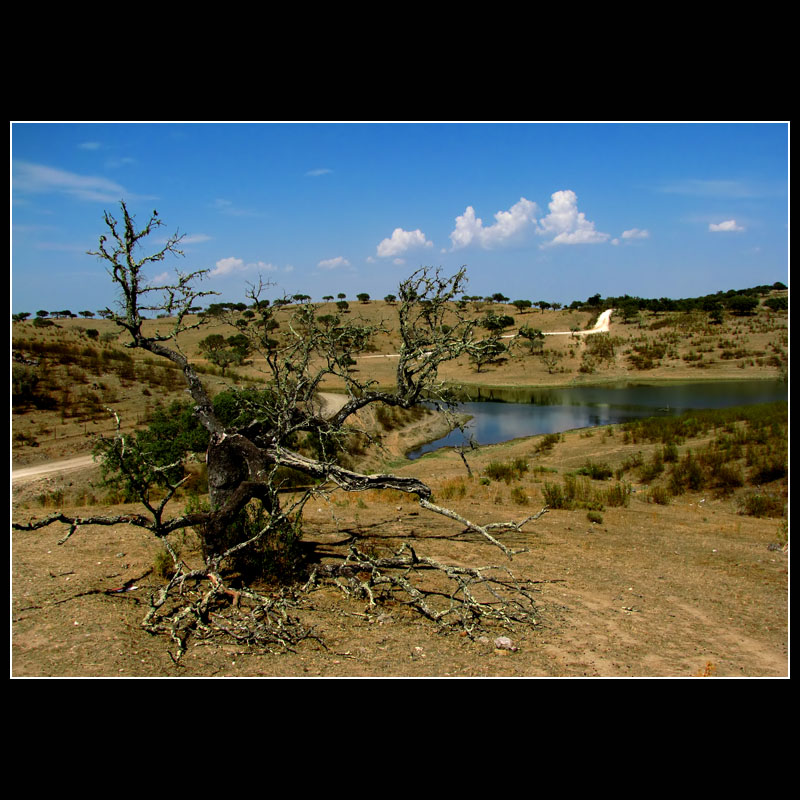 ... Alentejo ... 01