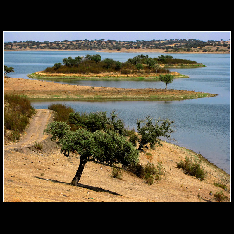 ... Alentejo ... 02