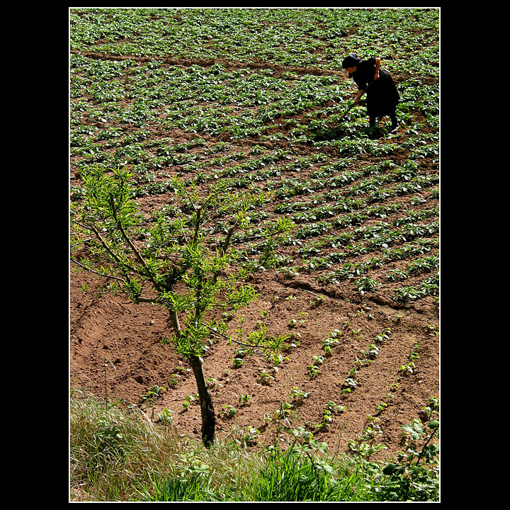 ... in Sardoal - Portugal ... 16