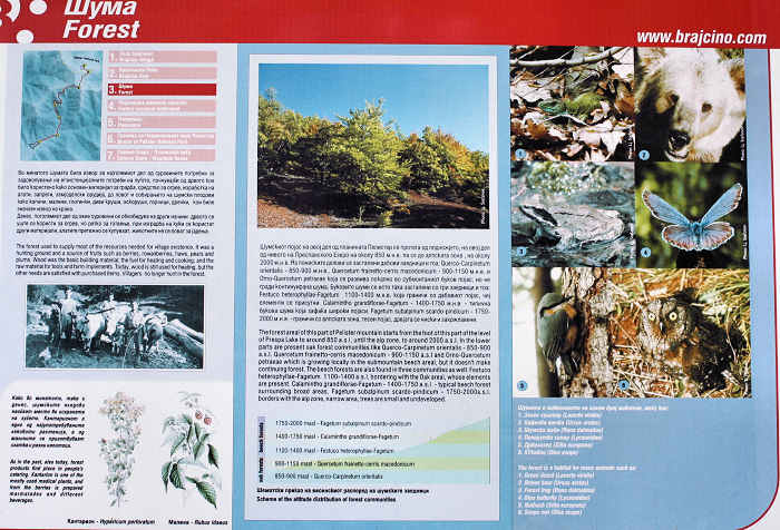 Pelister National Park
