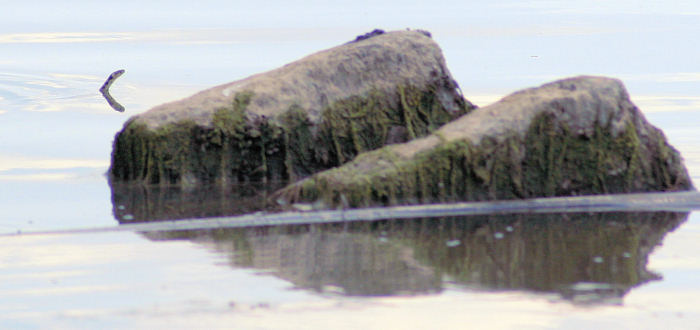 Ezerani bird sanctuary info