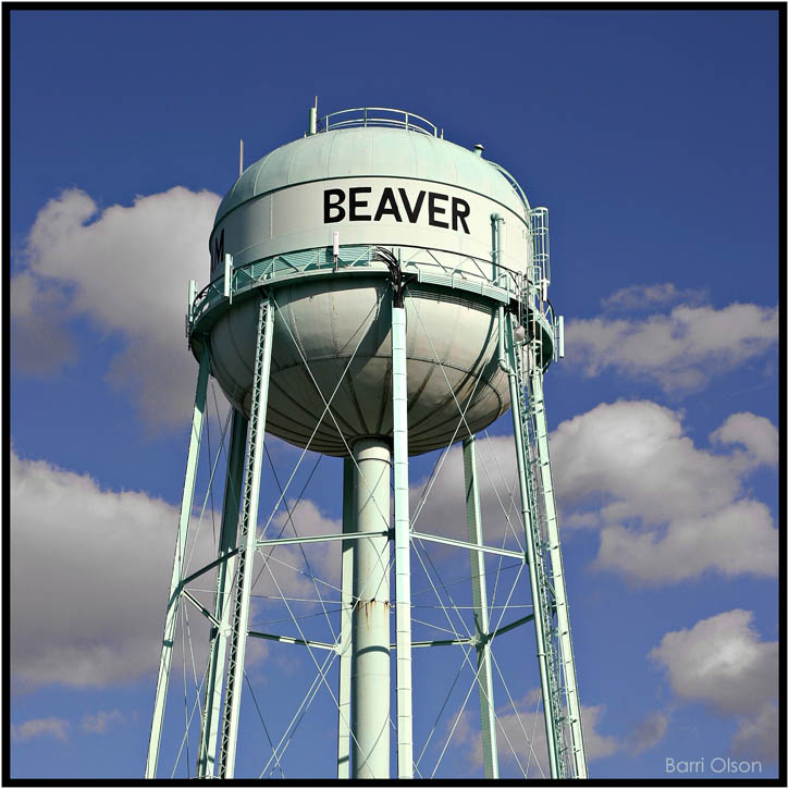 Beaver