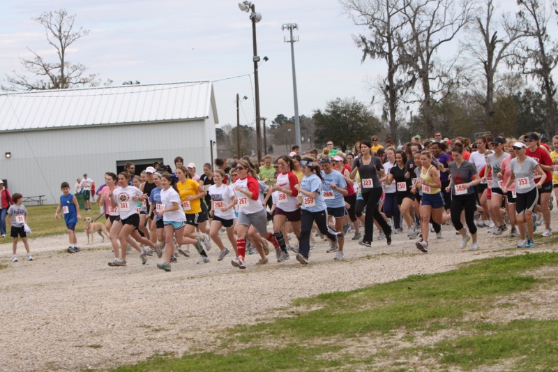 Diva stampede