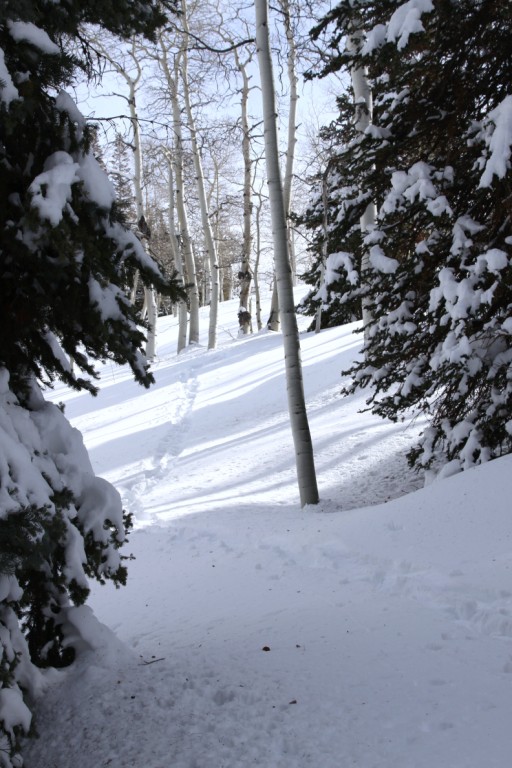 tracks