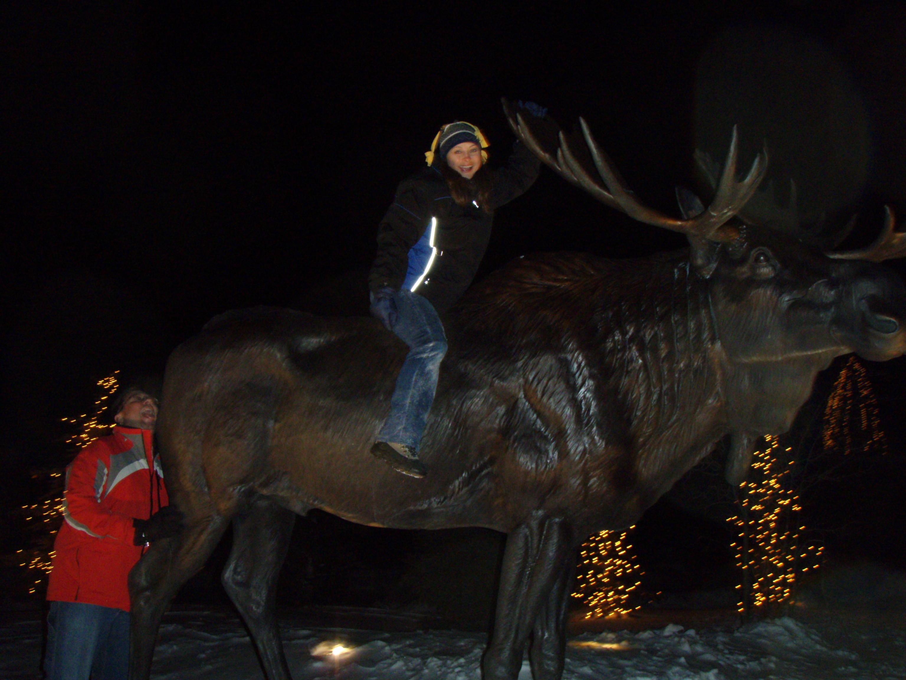 moose and squirrel 2.jpg