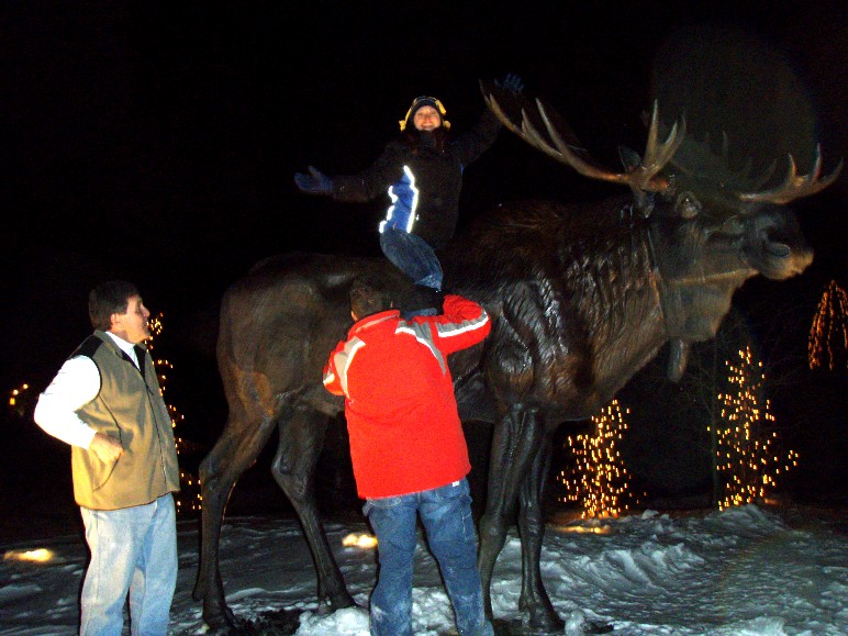 moose and squirrel.JPG