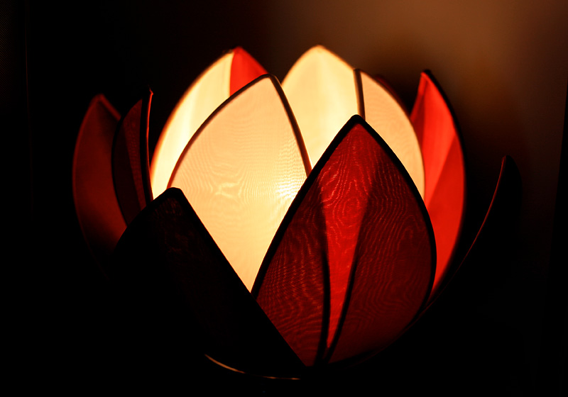 Lotus lamp